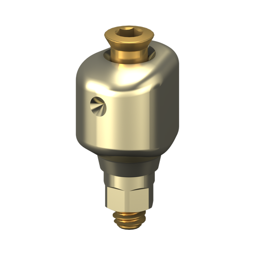 Scannable Anatomical Abutment + Screw