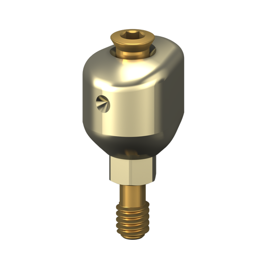 Scannable anatomical abutment + Screw