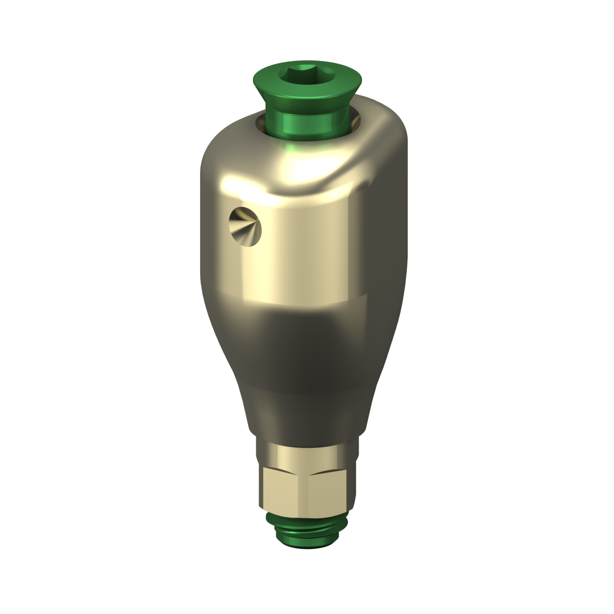 Scannable Anatomical Abutment + Screw