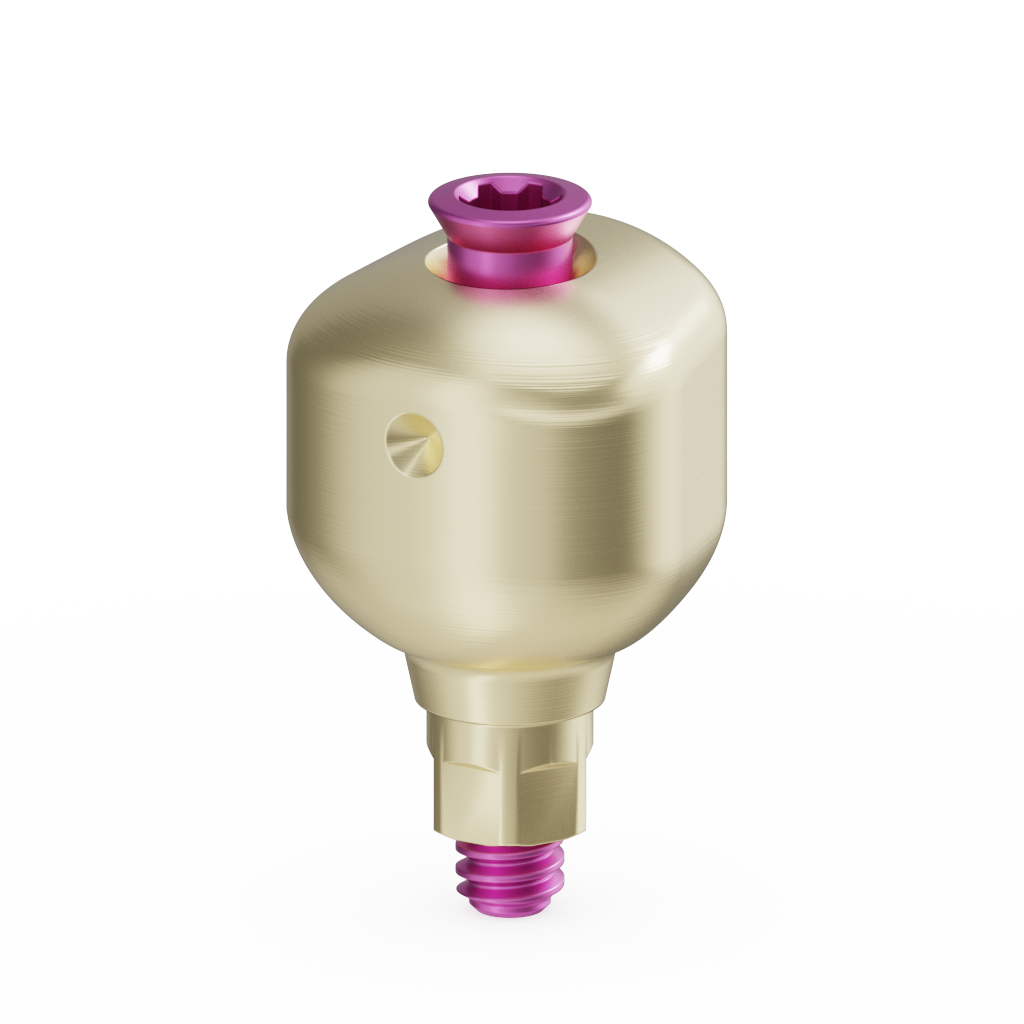 Scannable Anatomical Abutment + Screw