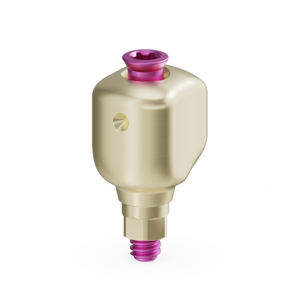 Scannable Anatomical Abutment + Screw