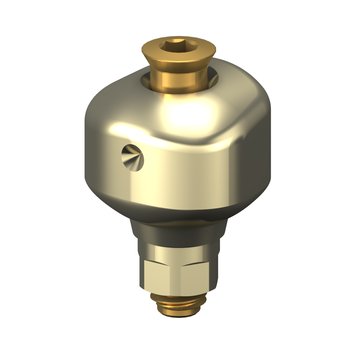 Scannable Anatomical Abutment + Screw