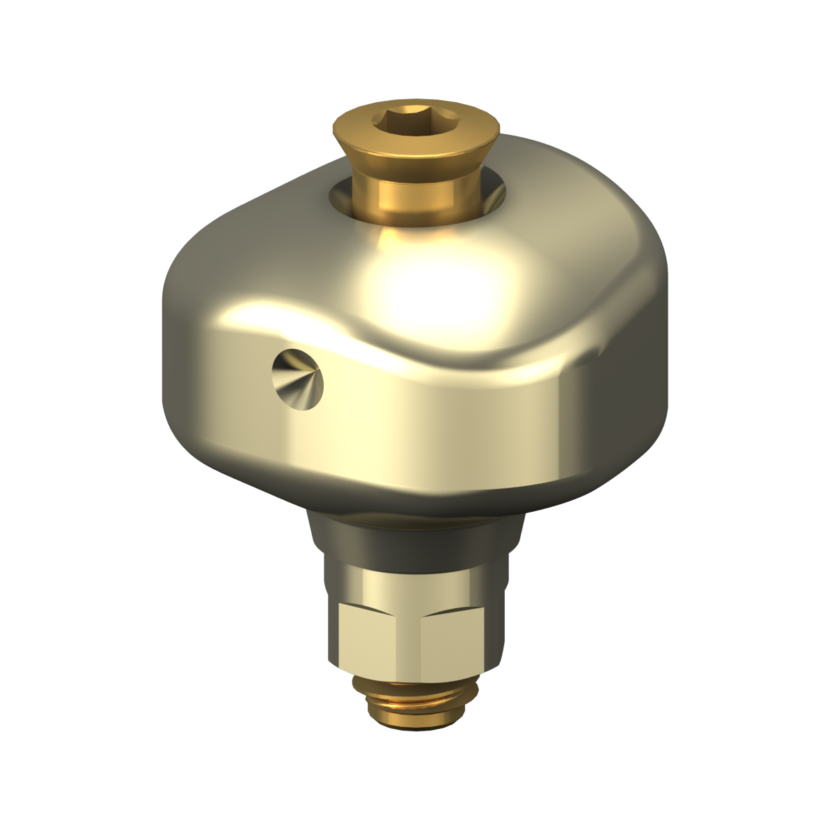 Scannable Anatomical Abutment + Screw