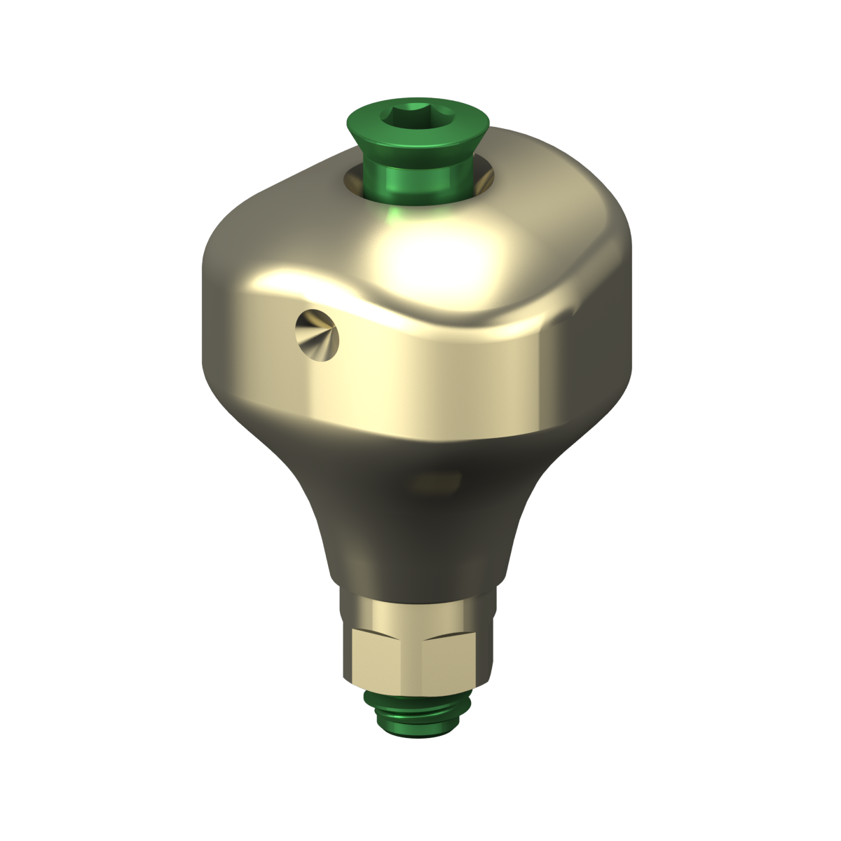 Scannable Anatomical Abutment + Screw