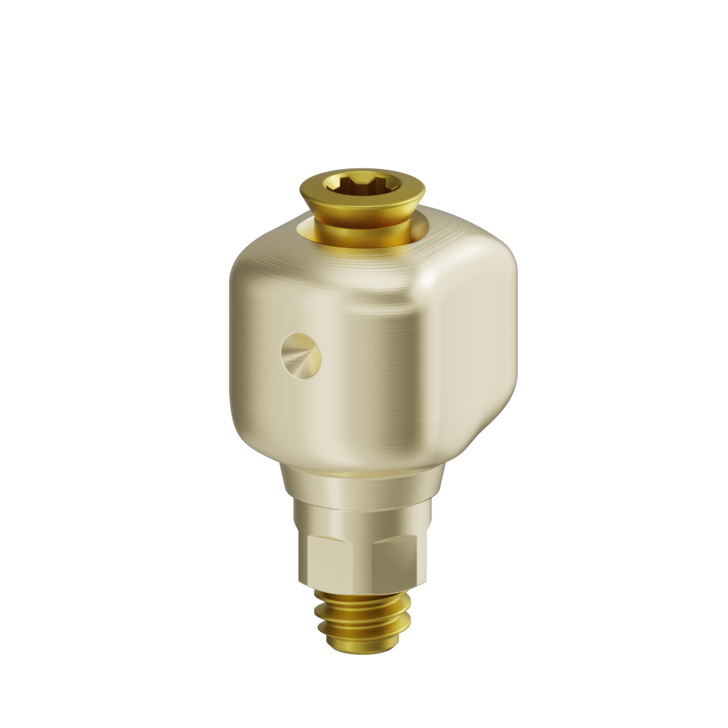 Scannable Anatomical Abutment + Screw