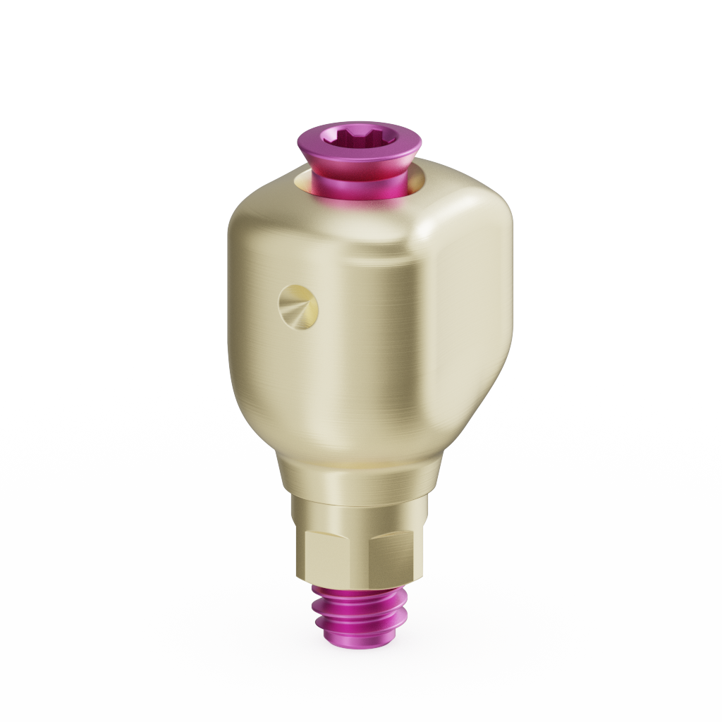 Scannable Anatomical Abutment + Screw