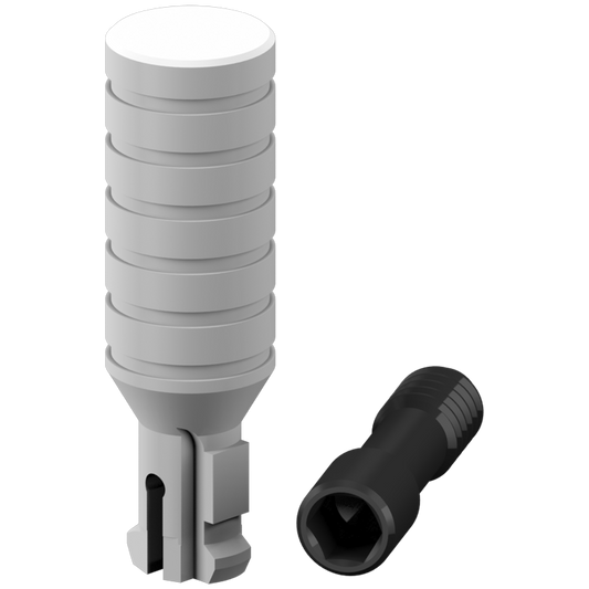 Snap-On Temporary Abutment + Screw
