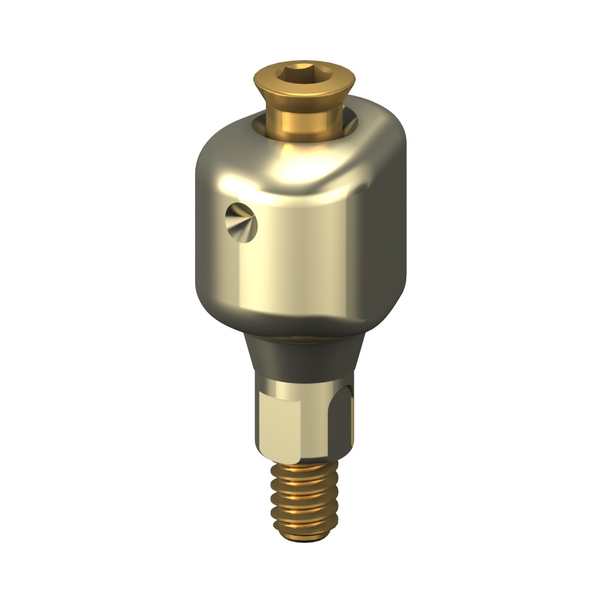Scannable Anatomical Abutment + Screw – Bone Level