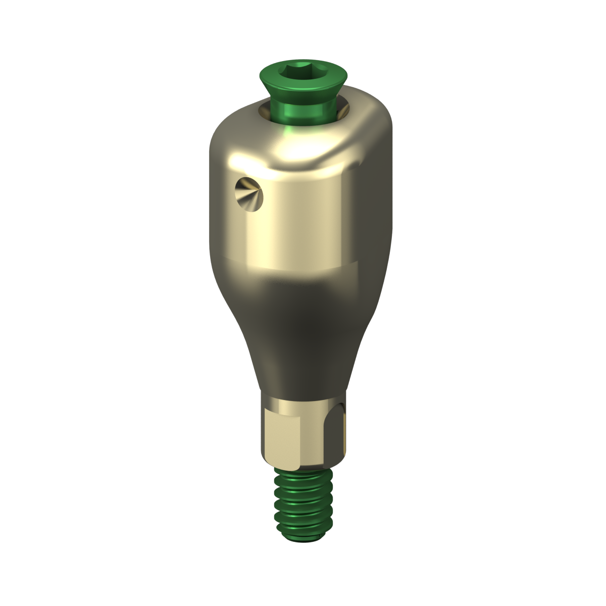 Scannable Anatomical Abutment + Screw – Bone Level