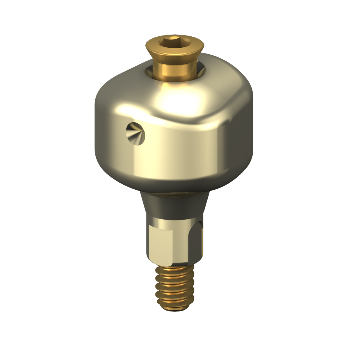 Scannable Anatomical Abutment + Screw – Bone Level