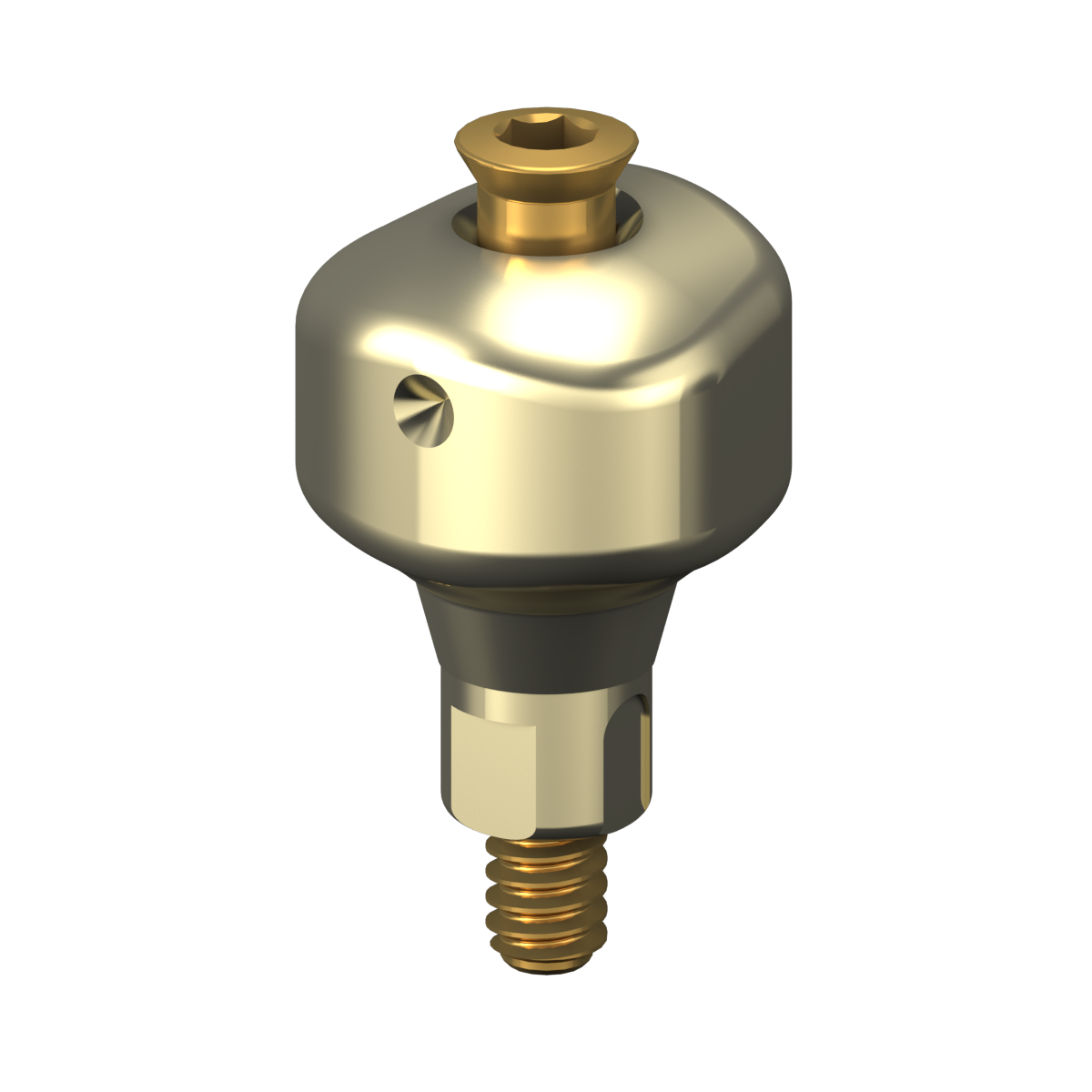Scannable Anatomical Abutment + Screw – Bone Level