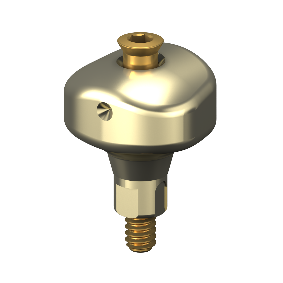 Scannable Anatomical Abutment + Screw – Bone Level
