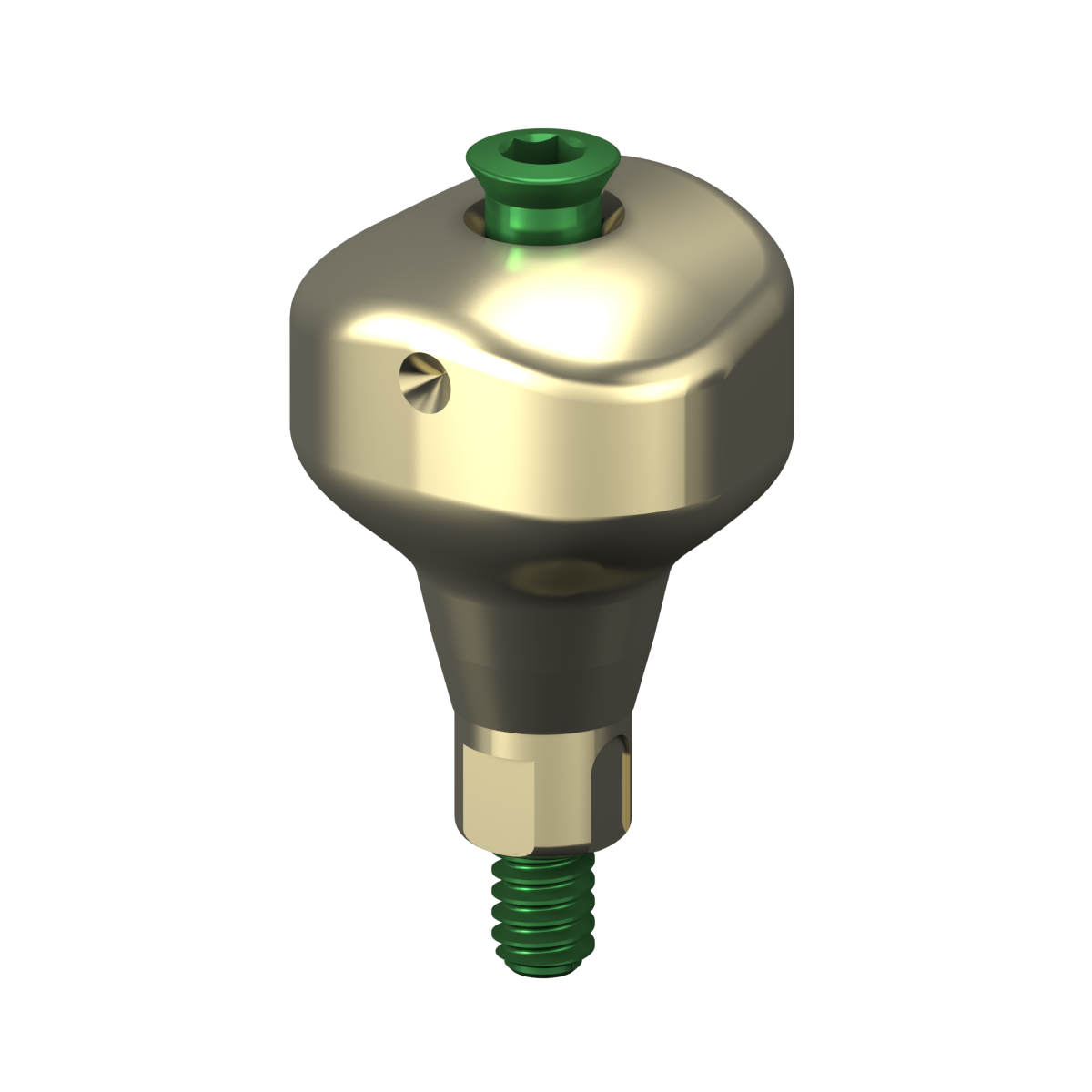 Scannable Anatomical Abutment + Screw – Bone Level