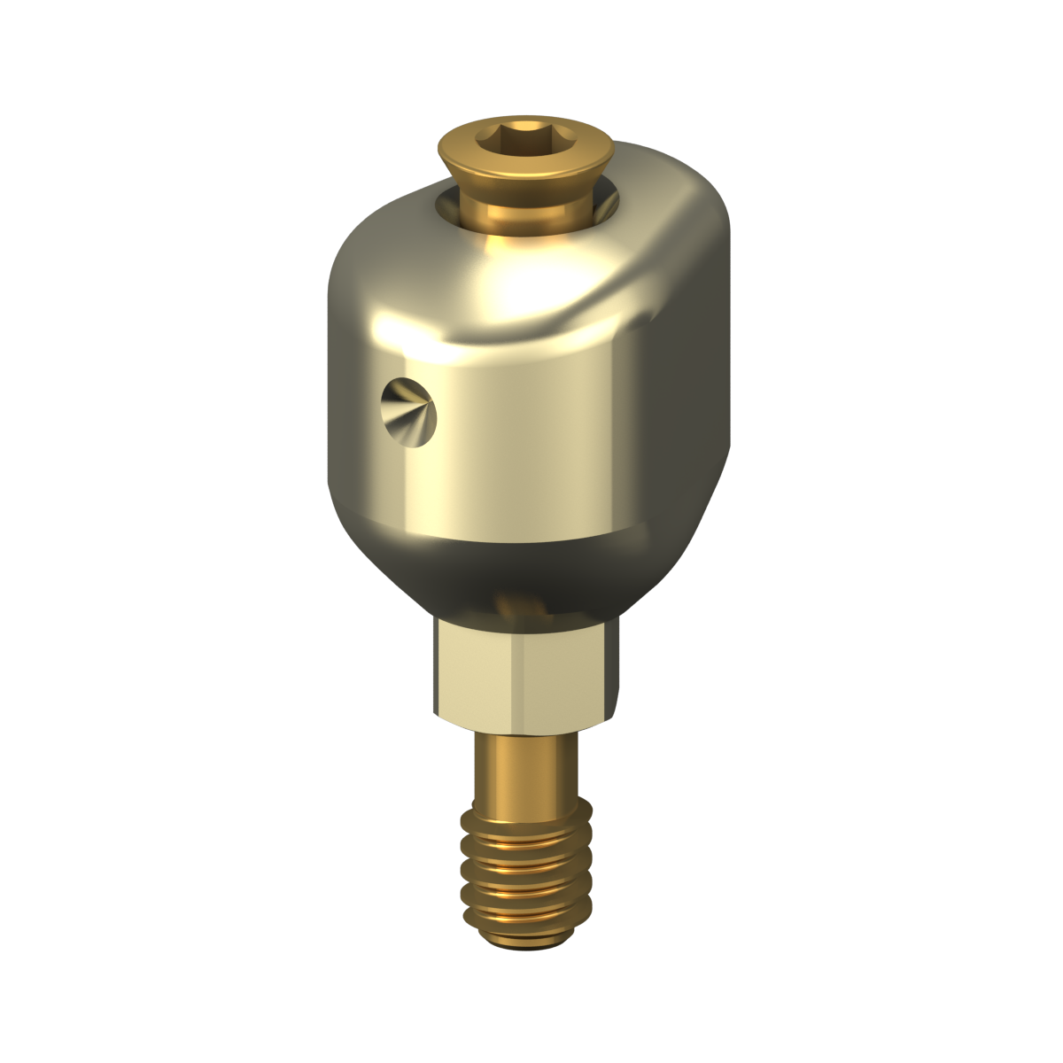 Scannable anatomical abutment + Screw