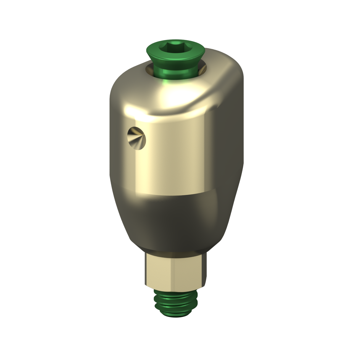 Scannable anatomical abutment + Screw
