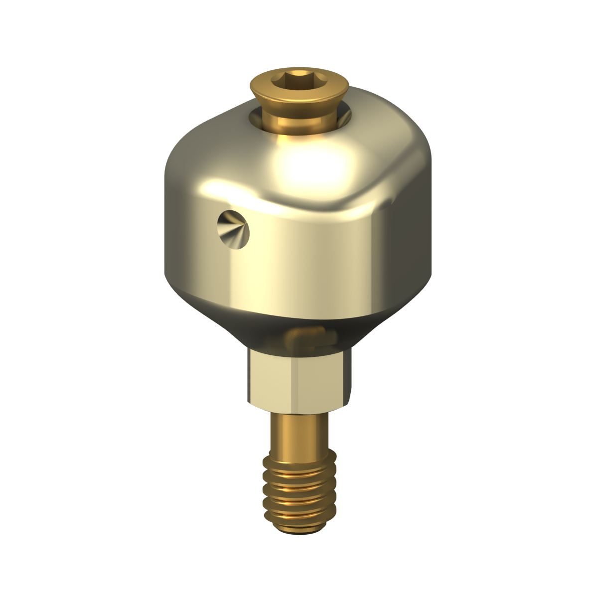 Scannable anatomical abutment + Screw