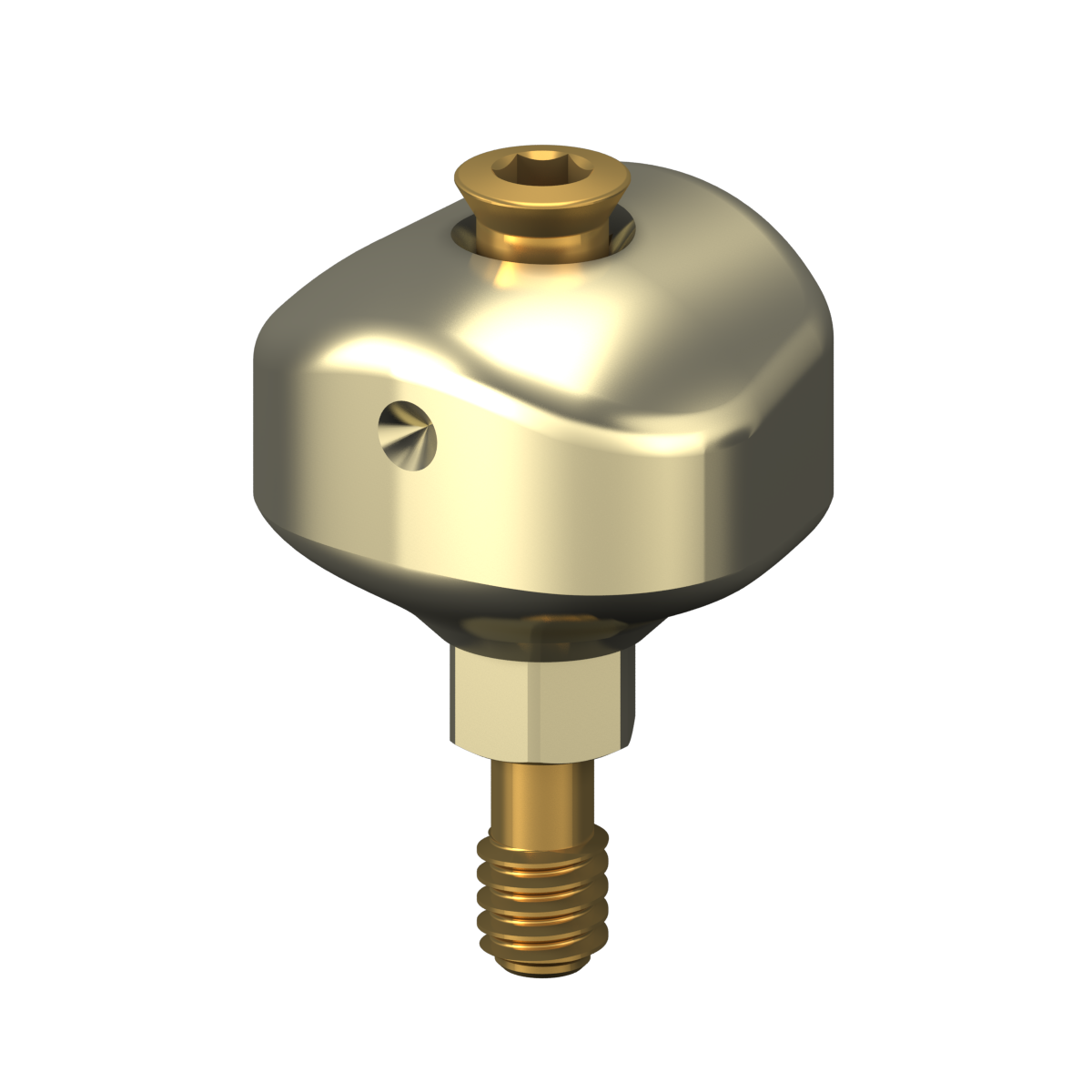 Scannable anatomical abutment + Screw