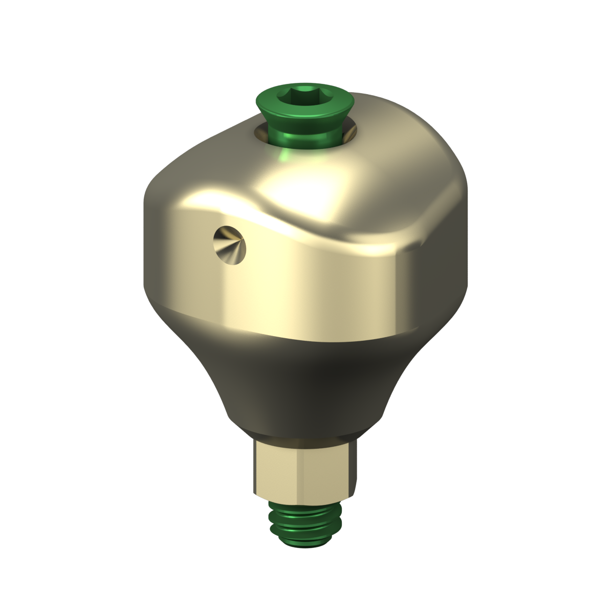 Scannable anatomical abutment + Screw