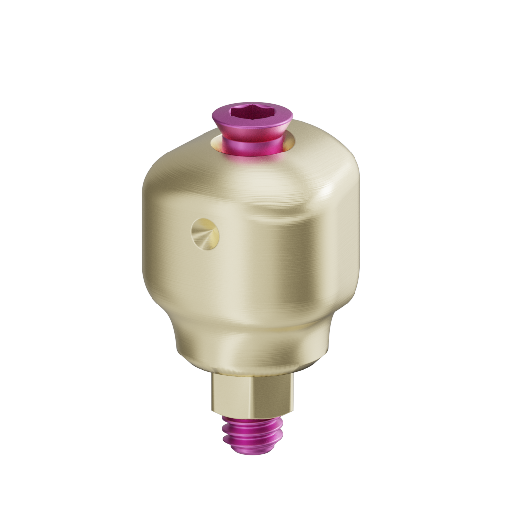 Scannable anatomical abutment + Screw