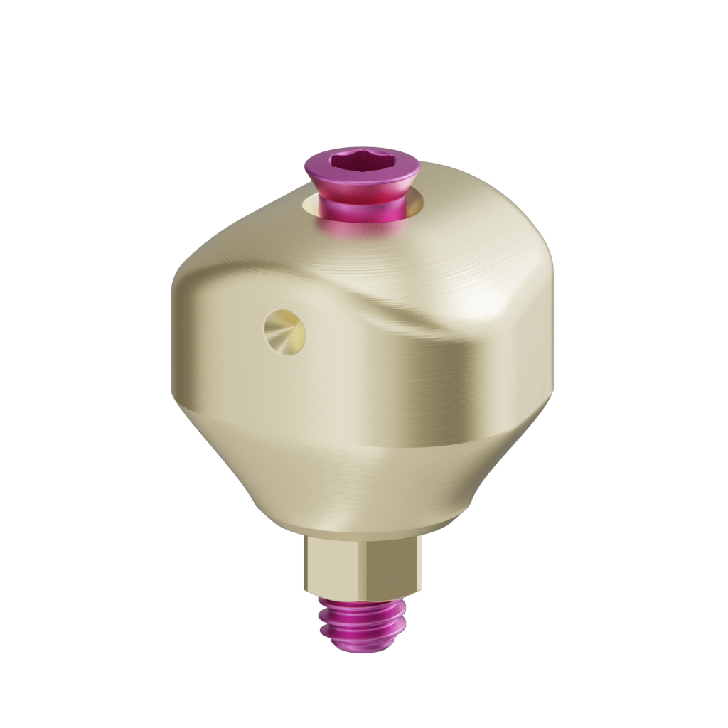 Scannable anatomical abutment + Screw