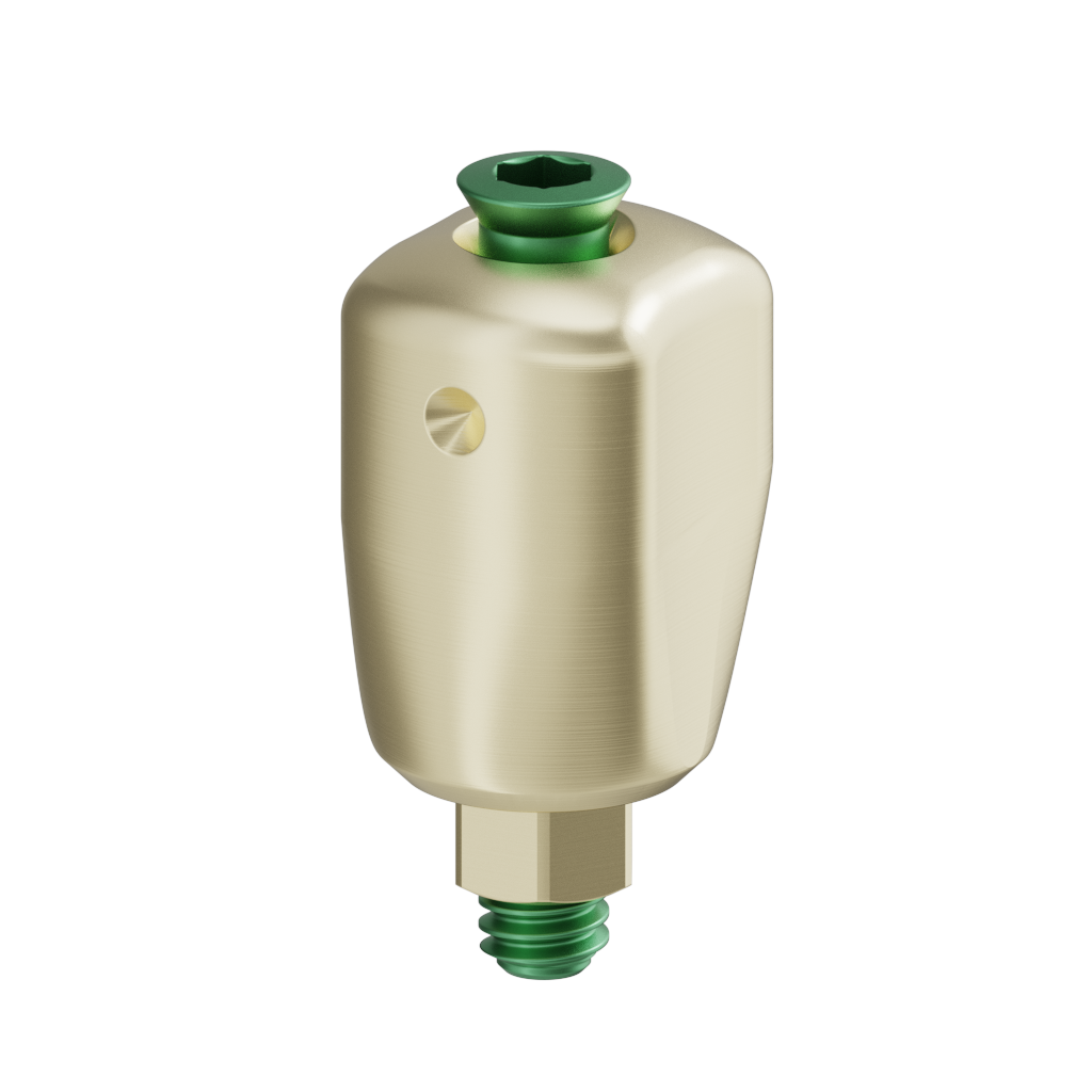 Scannable anatomical abutment + Screw